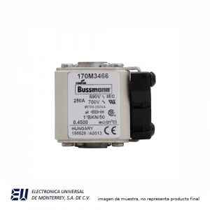 FUSIBLE EUROPERO SEMICONDUCTOR 250A 690V1*BKN/50 AR UC - 170M3466