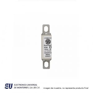 FUSIBLE 63 AMP. 660VCA RAPIDO UAL - 170M0215