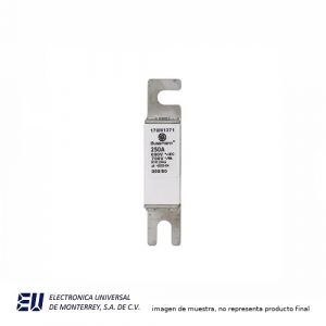 FUSIBLE SEMICONDUCTOR 250A 690V  000/80 AR UC CERAMICO EUROP - 170M1371