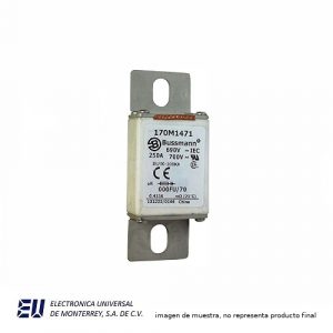 FUSIBLE SEMICONDUCTOR 250A 660V RECTANGULAR CON CUCHILLAS EN - 170M1471