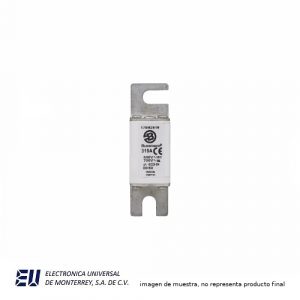 FUSIBLE SEMICONDUCTOR 315A 690V - 170M2619