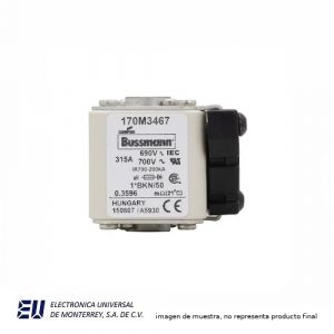 FUSIBLE EUROPERO SEMICONDUCTOR 315A 690V1*BKN/50 AR UC - 170M3467