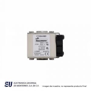 FUSIBLE SEMICONDUCTOR 315A 690V 1BKN/50 - 170M4460