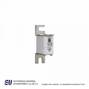FUSIBLE SEMICONDUCTOR 100A 1000V 00TN/80 AR - 170M4830