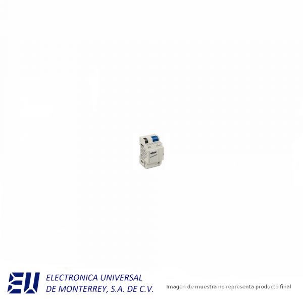 Fuente de alimentación de 24Vdc @ 1.2A para montaje en Riel DIN-  Raytek - XXXSYSPS